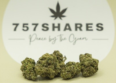 Grand Master Kush