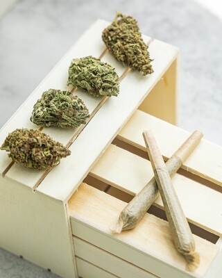 &quot;Bud&quot;dy Boxes