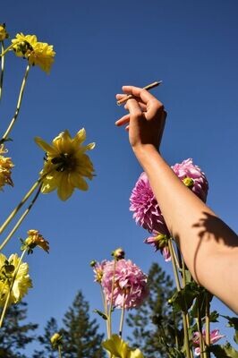April Showers, Spring Flowers (April 2024)