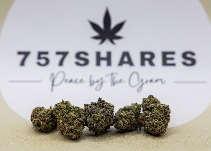Raspberry Kush