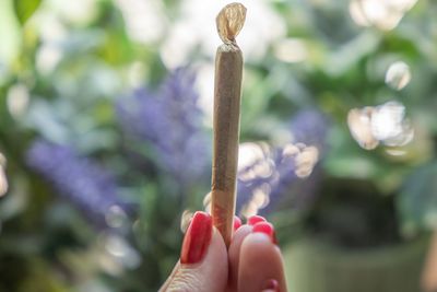 Designer Pre-roll