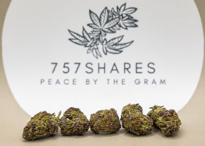 Forbidden Heat Forbidden Heat