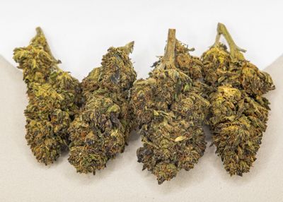Sweet Skunk
