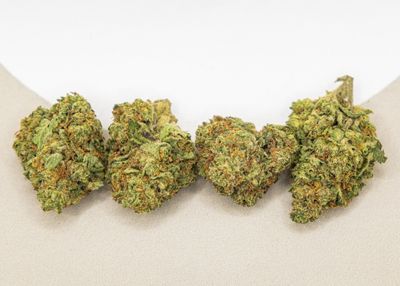 Sunlight Skunk