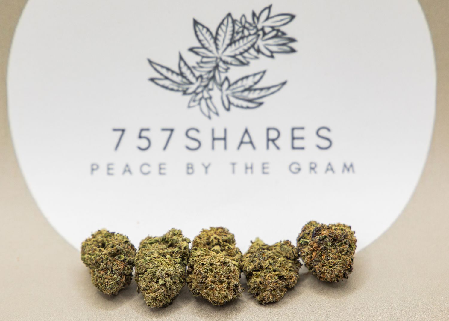 Critical Cheese