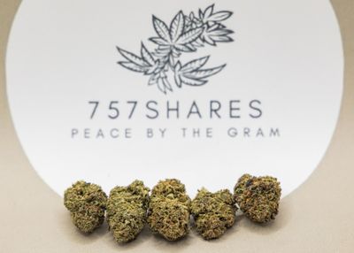 Critical Cheese