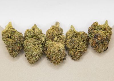 Critical Cheese