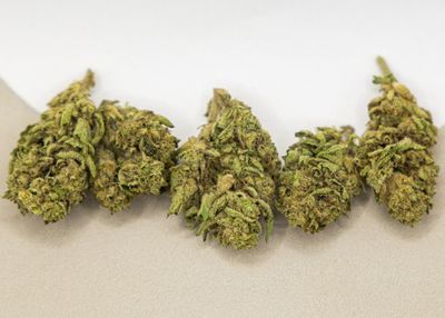 Cali Big Bud