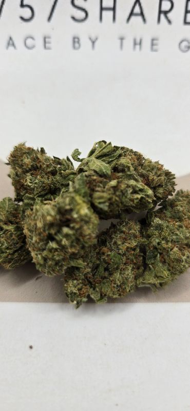 Gas Stank