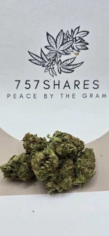 Gas Stank