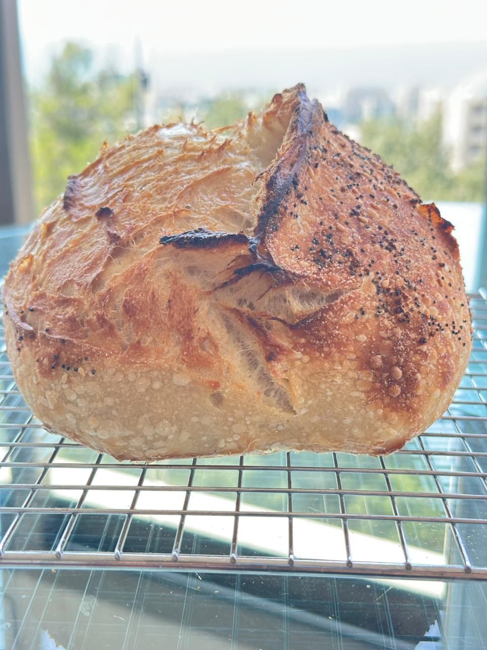 San Francisco Sourdough Loaf (Plain)