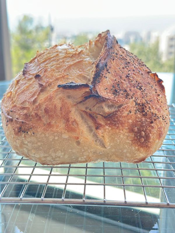 San Francisco Sourdough Loaf (Plain)