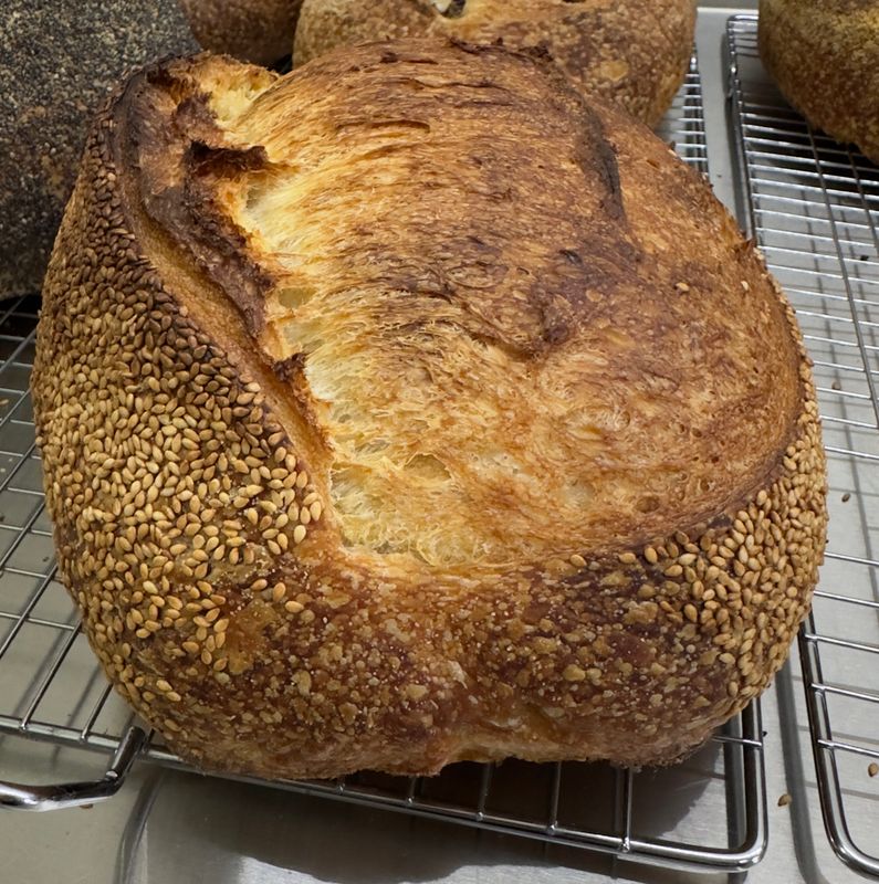 Sesame