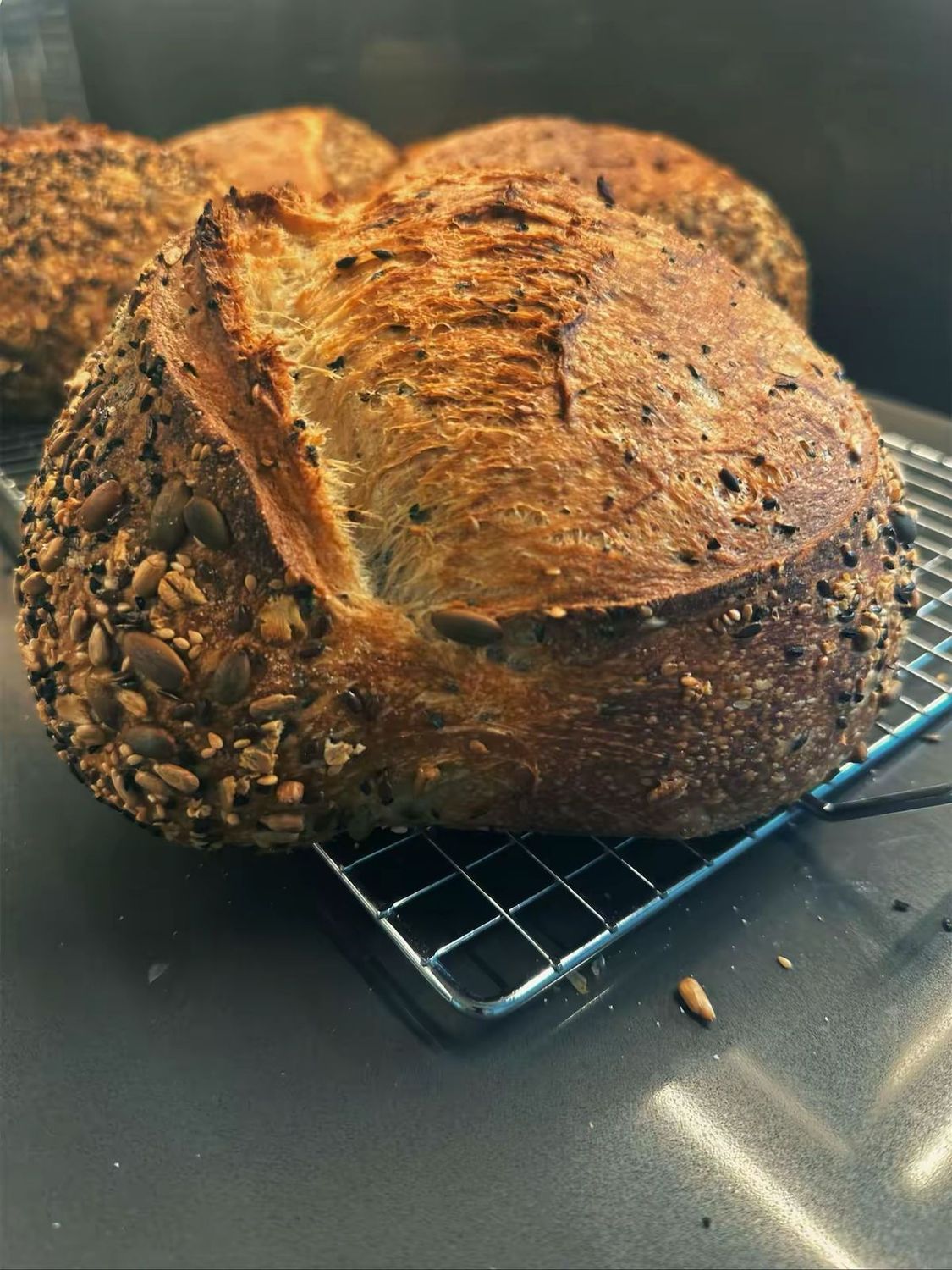 Multigrain