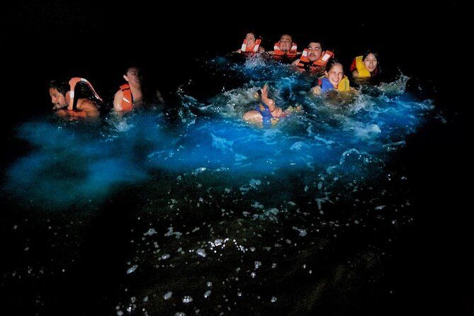 Bioluminiscencia