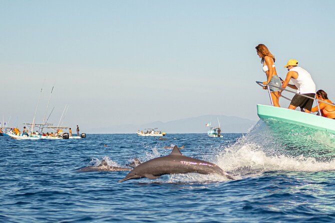 Amanecer con Delfines