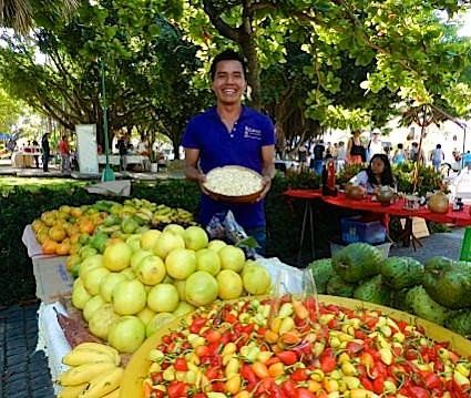 Colores, Olores y Sabores