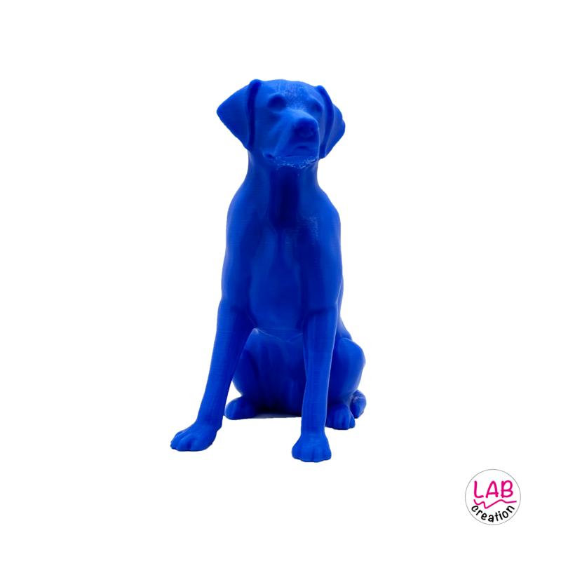 CANE BLU