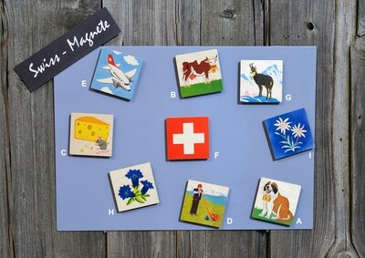 Artikel 6900, Swiss-Magnete „Standard“ Artikel 6900, Swiss-Magnete „Standard“