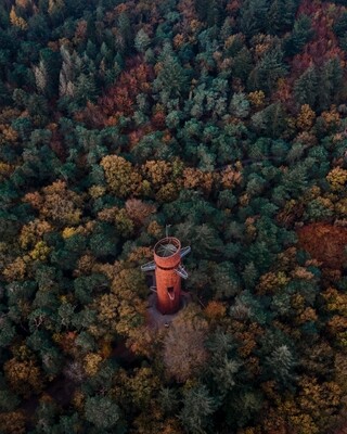 Bosbergtoren in Appelscha