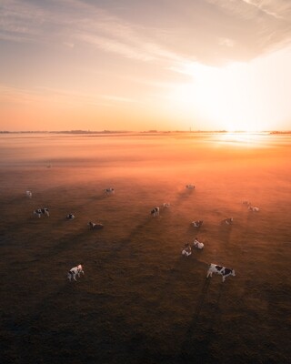 Friesland