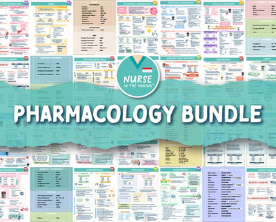 The Complete Nursing School Bundle™ | 200+ Pages | Digital Download