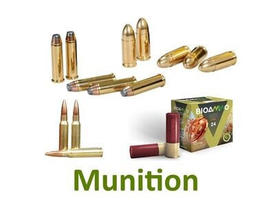 Munition