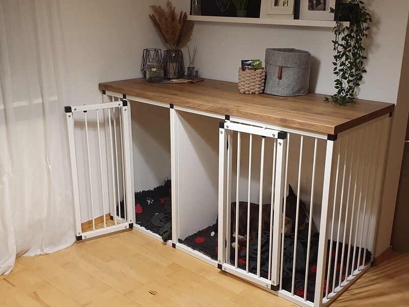 Hundebox als Möbelstück Schrank 2er DF Abmessungen frei wählbar