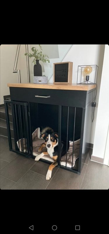 Hundebox als Möbelstück Schrank 1er E1 113x70x80 cm LxTxH