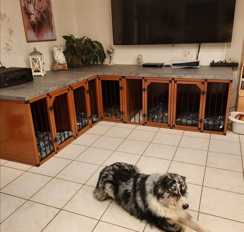 Hundebox als Möbelstück Schrank 2er D2 195x77x87 cm LxTxH