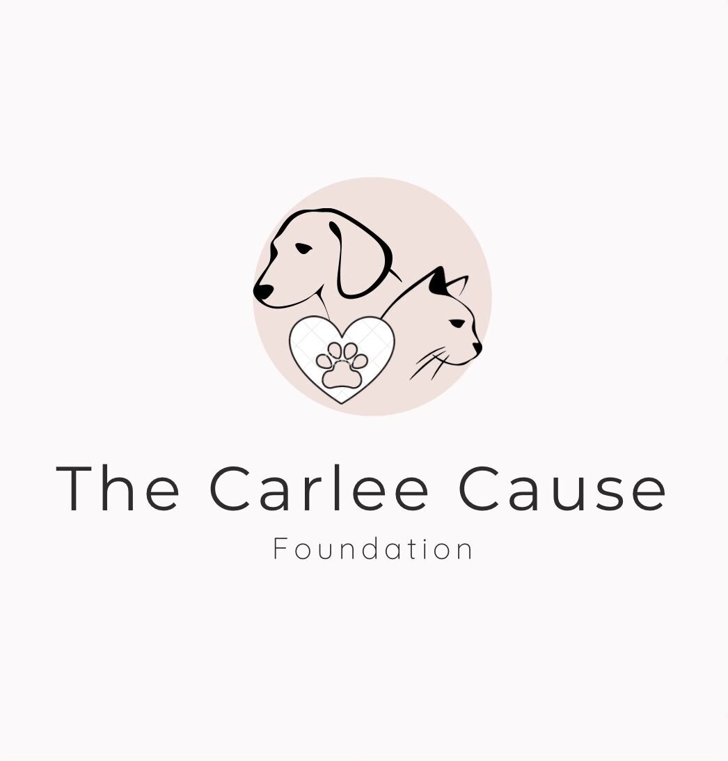 $10 Donation