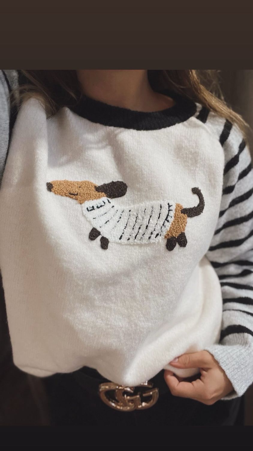 Pulli Dackel