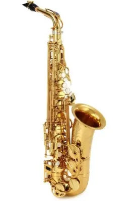 Selmer 82 Signature Series Alto Saxophone