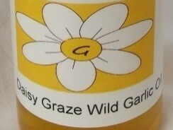 Daisy Graze Caeau Felin Wild Garlic Oil