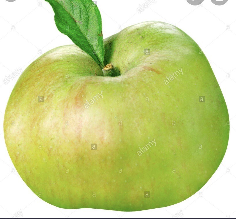 British Bramley Apples