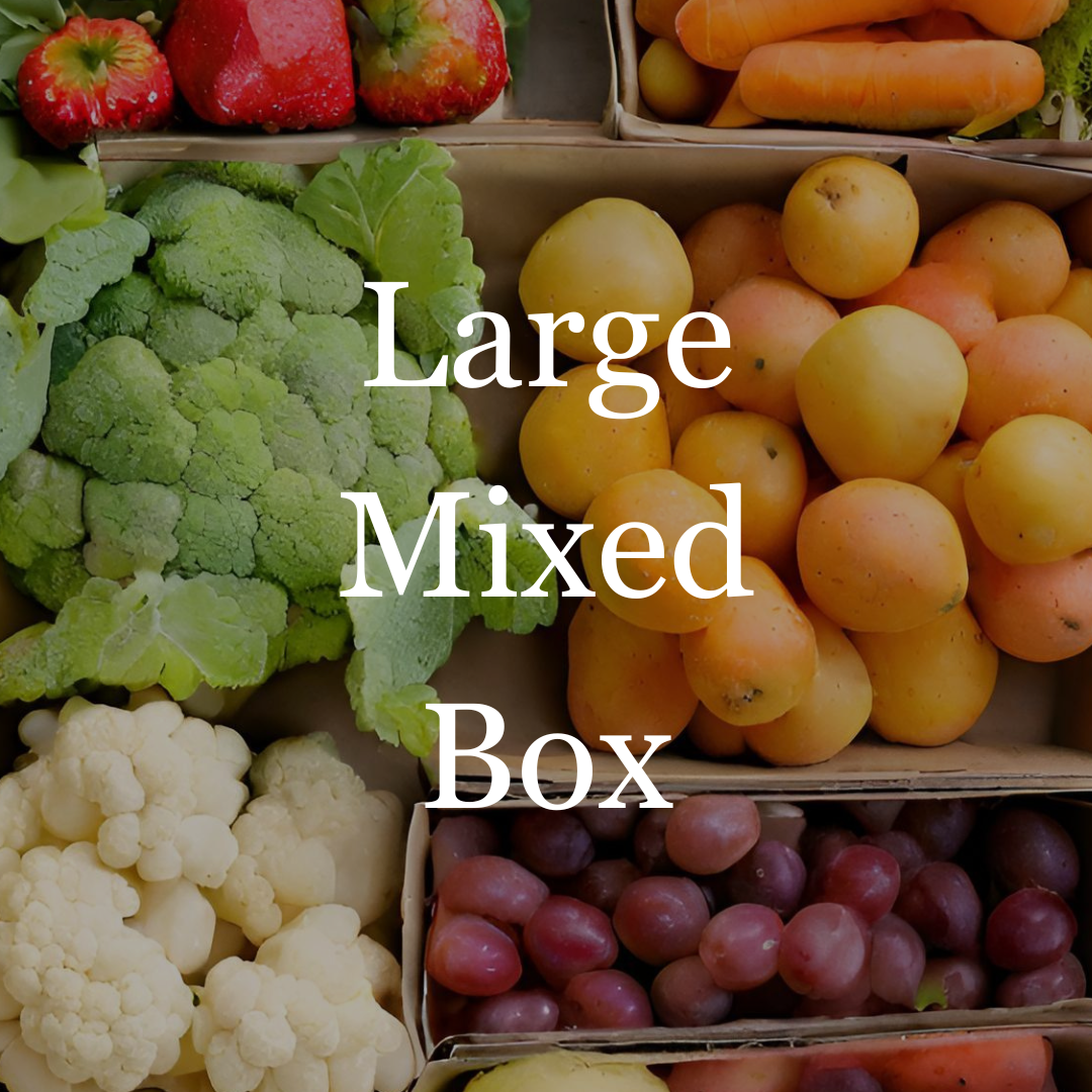 Large Mixed Box