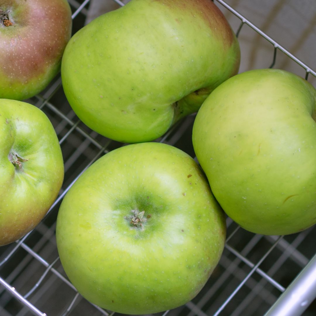 British Bramley Apples