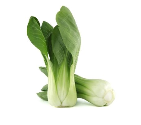 Pak Choi Pack Of 2