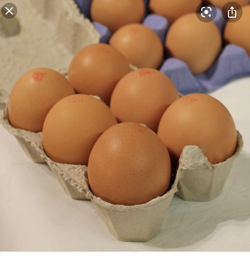 Box Of 6 Free Range Eggs Box Of 6 Free Range Eggs