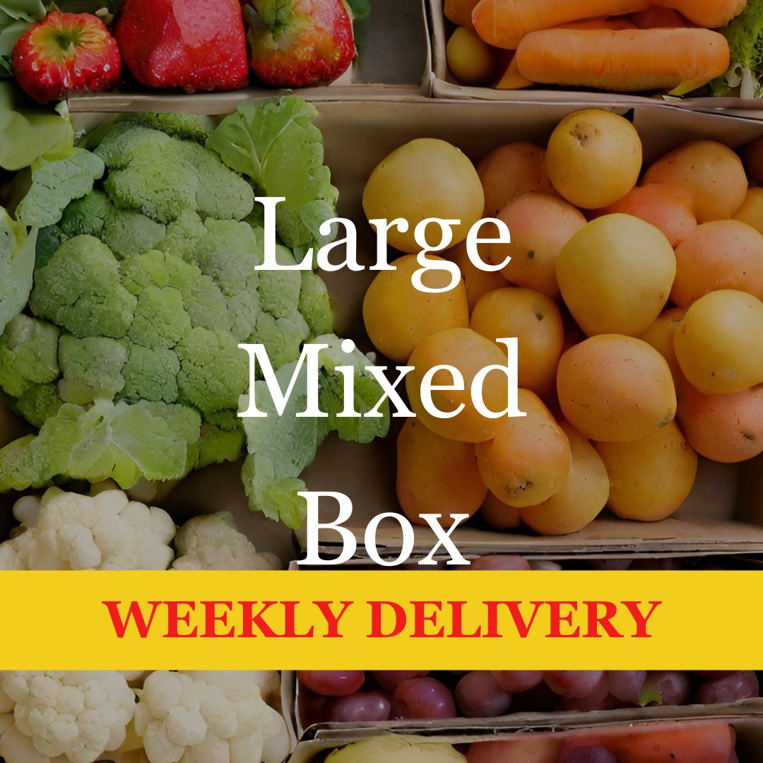 Large Mixed Box