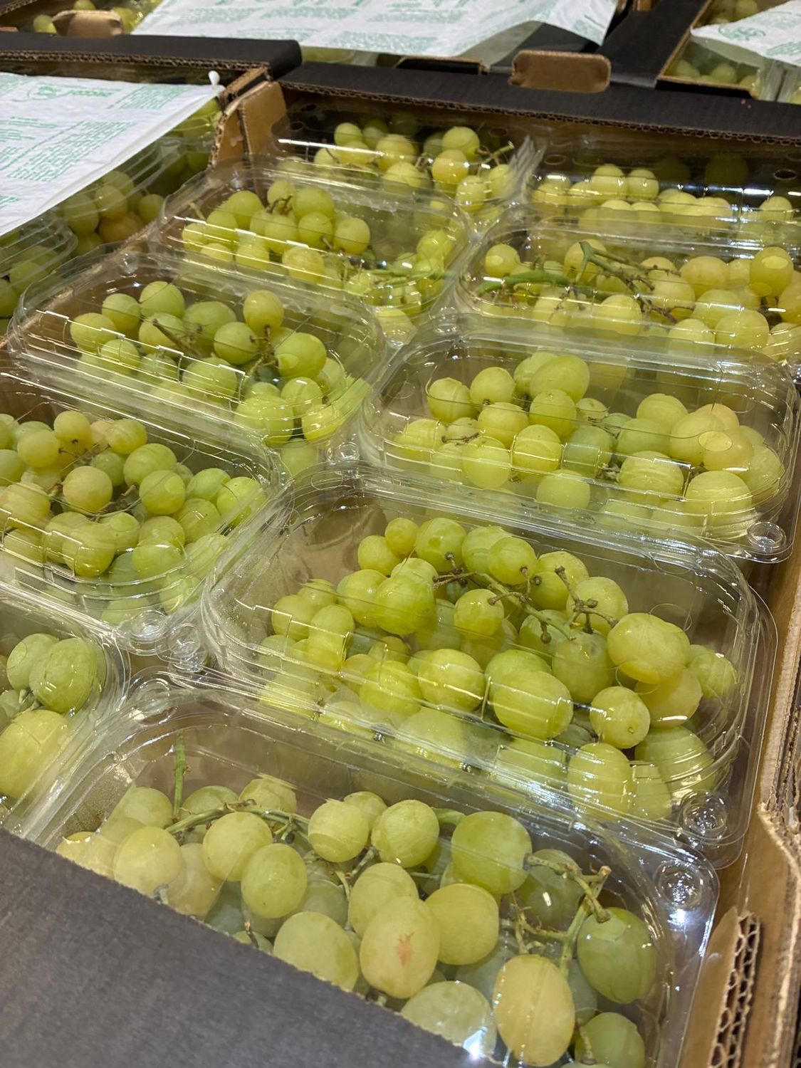 White Grapes ( Punnet )