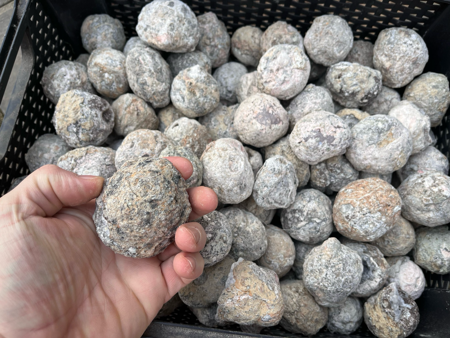 Mexicaanse Geode (S) om te kraken