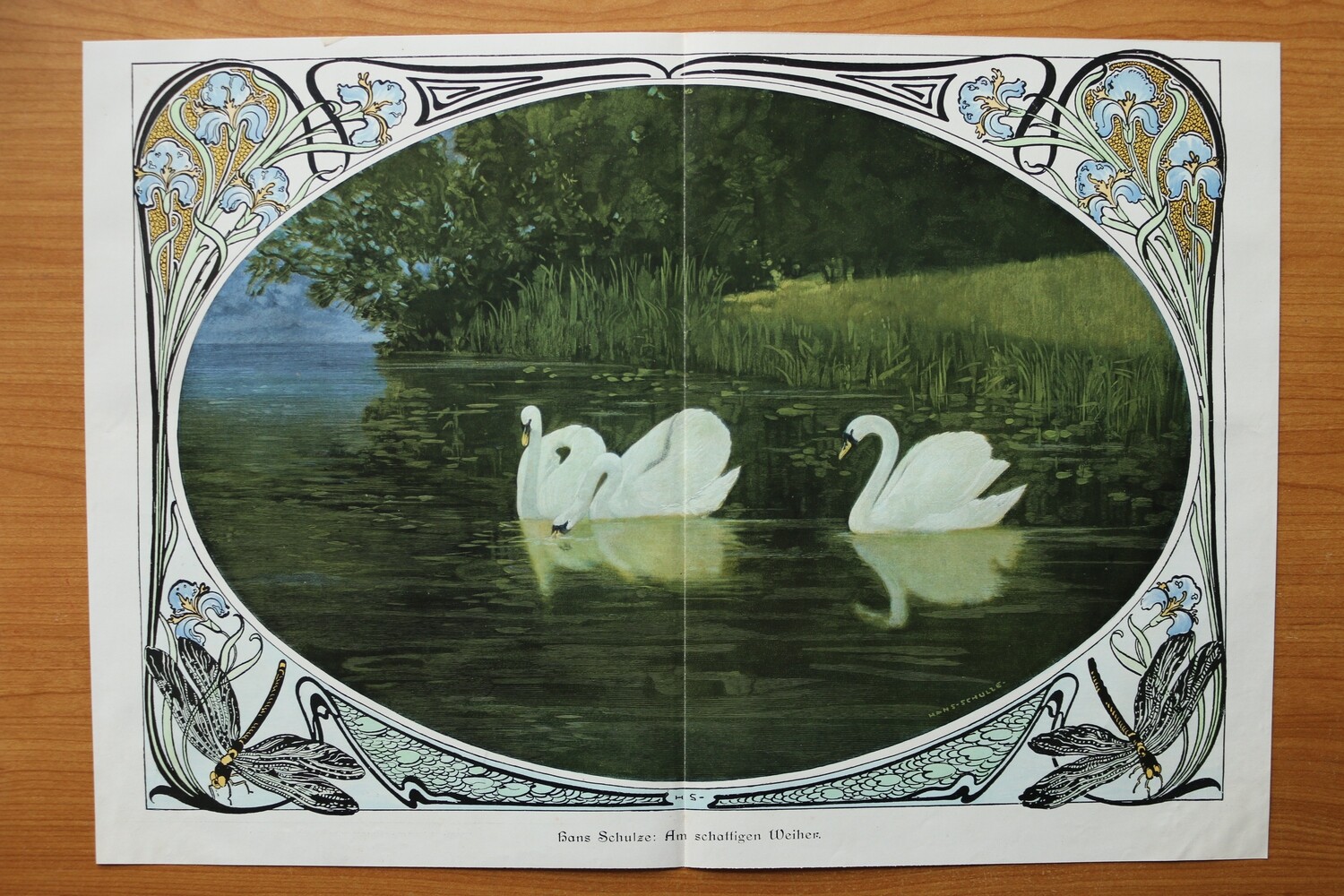 Jugendstil Kunst Druck nach Hans Schulze 1899-1905 Am schattigen Weiher Schwan Schwäne 51 x 36 cm