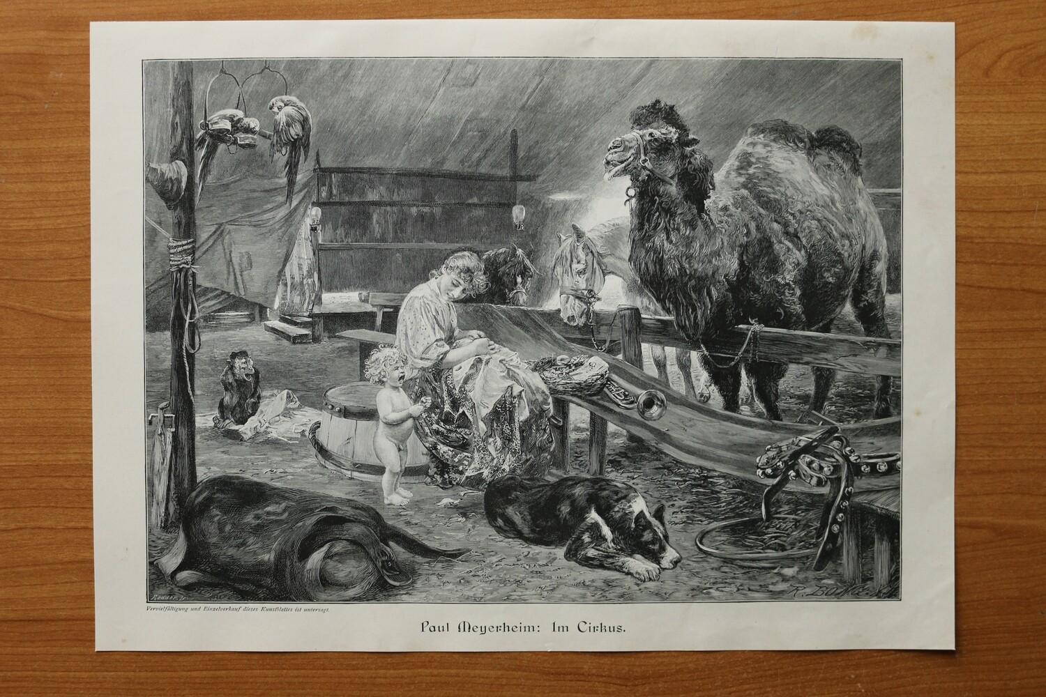 Holzstich nach Paul Meyerheim 1890-1910 Im Circus Zirkus Kamel Kind Hund Pferd Frau Manege 36,5 x 26,5 cm