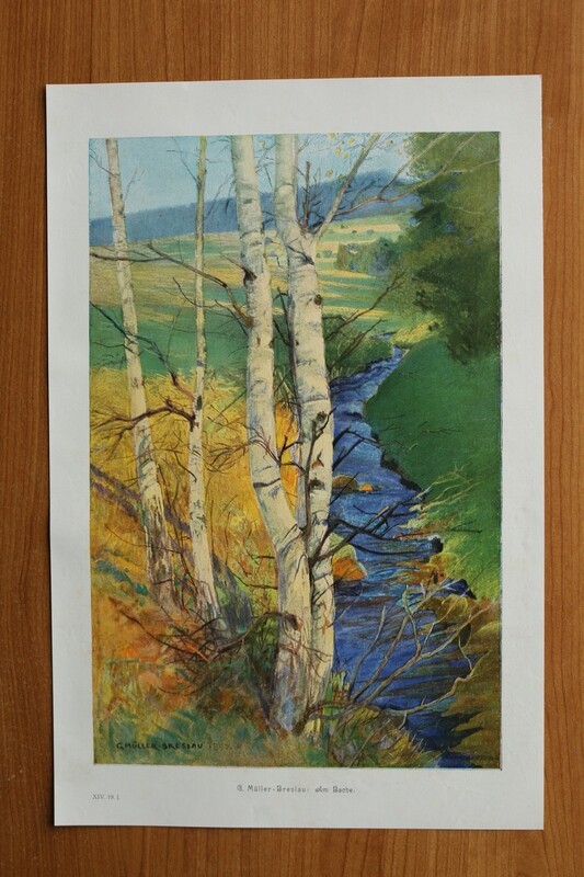 Kunst Druck nach G Müller Breslau 1890-1910 Am Bache Landschaft Birken 25 x 38 cm Kunst Druck nach G Müller Breslau 1890-1910 Am Bache Landschaft Birken 25 x 38 cm
