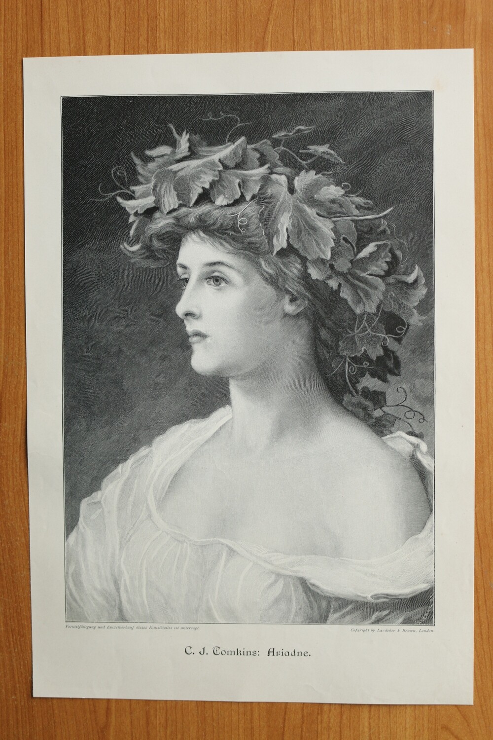 Holzstich nach C J Tomkins 1890-1910 Ariadne Mythologie 25,5 x 37 cm