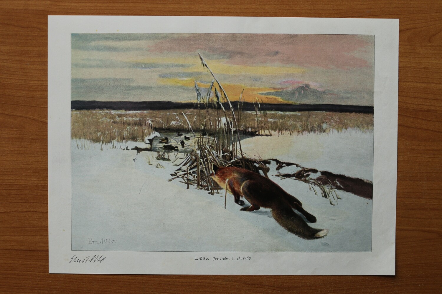 Kunst Druck nach E Otto 1890-1910 Festbrate in Aussicht Winter Landschaft Fuchs 35 x 26 cm