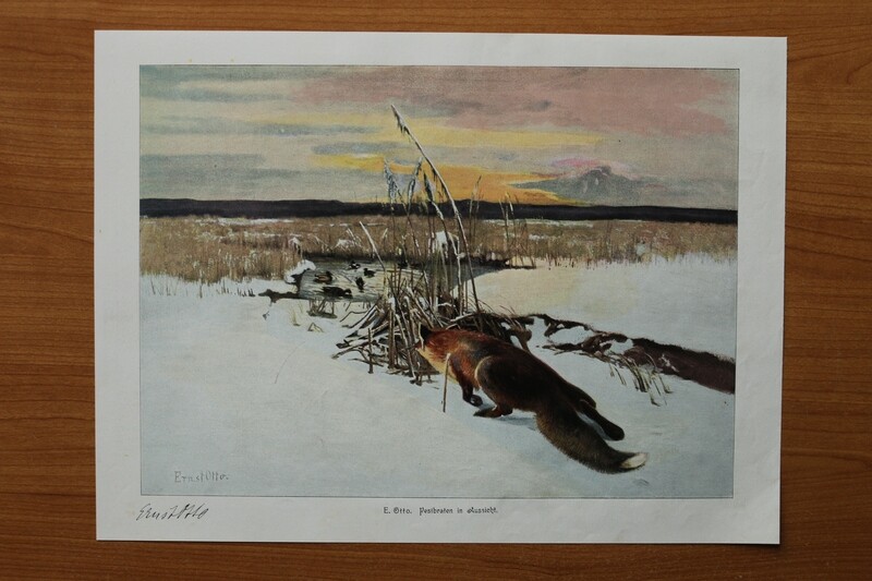 Kunst Druck nach E Otto 1890-1910 Festbrate in Aussicht Winter Landschaft Fuchs 35 x 26 cm