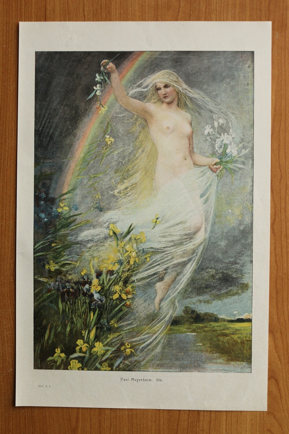 Kunst Druck nach Paul Meyerheim 1890-1910 Iris Frau Blumen Personifikation Mythologie nackt Akt Regenbogen 25 x 38,5 cm