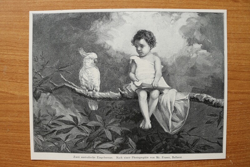 Holzstich nach Foto von Mr Fraser Ballarat 1890-1910 zwei Australische Eingeborene Australien Vogel Ara Kind Aborigines 19,5 x 15 cm Holzstich nach Foto von Mr Fraser Ballarat 1890-1910 zwei Australische Eingeborene Australien Vogel Ara Kind Aborigines 19,5 x 15 cm